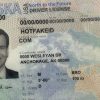 Alaska-fake-id