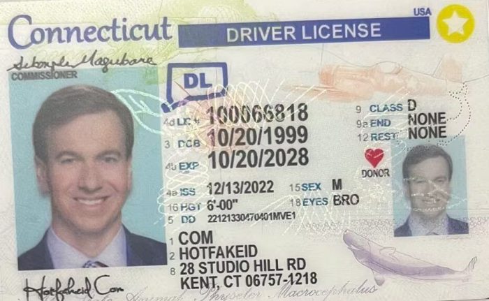 Connecticut-fake-front-id