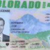 colorado-fake-id