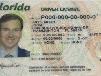 Florida Fake ID