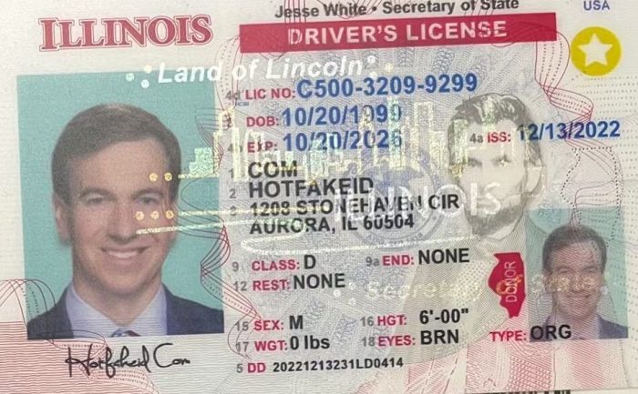 Illinois Fake ID