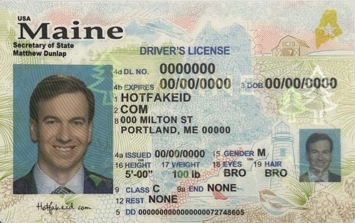 Maine Fake ID