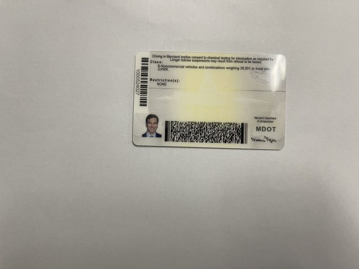 Maryland Fake ID