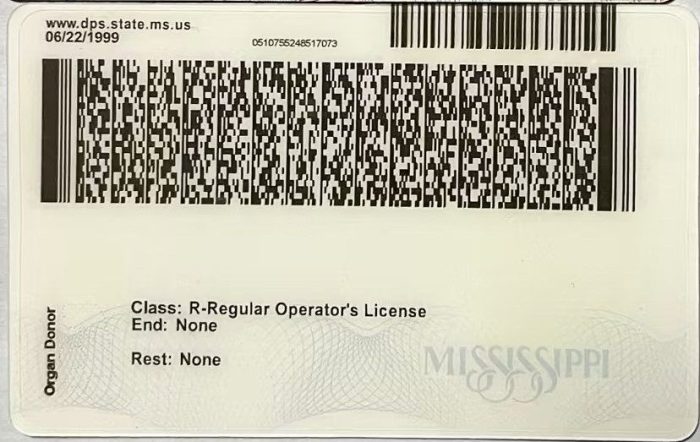 Mississippi Fake ID