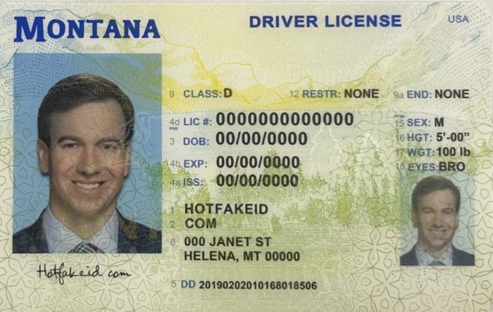 Montana Fake ID