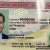 New Mexico Fake ID