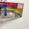 hawaii-fake-idback