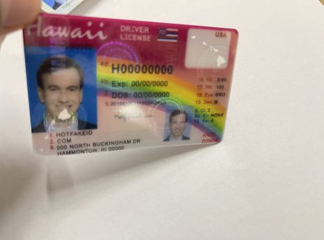 hawaii-fake-idback
